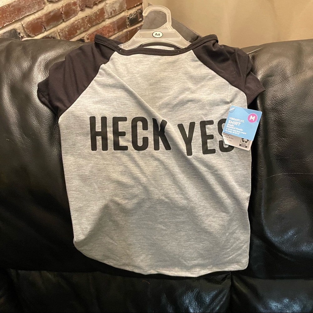 Dog sweatshirt & T-Shirt - Picture 4 of 9
